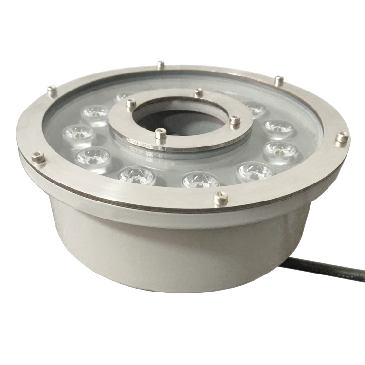304SS LED Fountain light